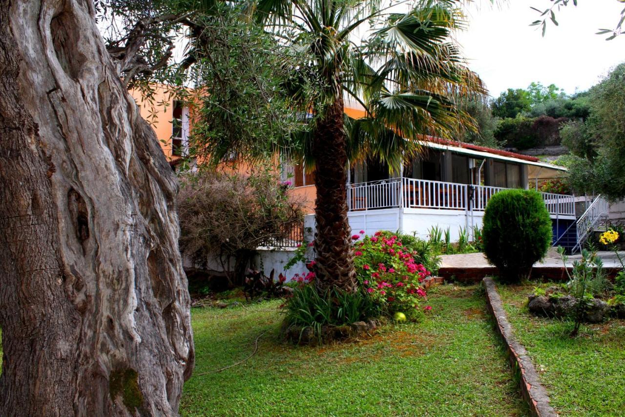 Tina Hotel Dasziá Kültér fotó