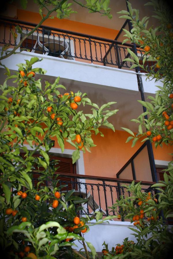Tina Hotel Dasziá Kültér fotó